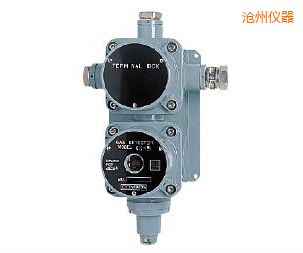 滄州可燃氣體檢測儀