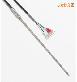 滄州快速響應鉑電阻溫度計