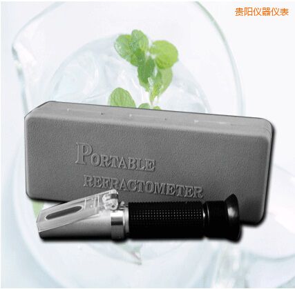 貴陽手持式食鹽/鹽度快速測(cè)定儀