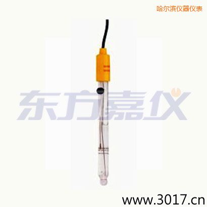 哈爾濱可填充玻璃管電極