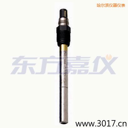 哈爾濱電廠痕量溶氧電極