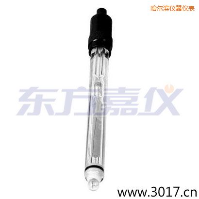 哈爾濱玻璃外殼鉑金環(huán)ORP電極