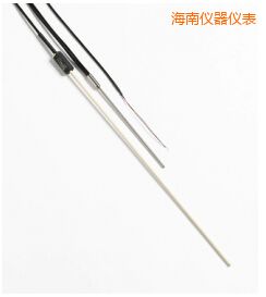 海南R 型和 S 型標準熱電偶