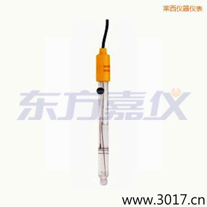 萊西可填充玻璃管電極