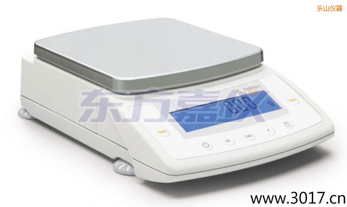 樂(lè)山CPA系列精密天平,6200g,0.001mg