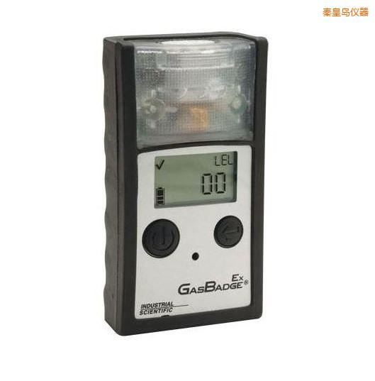 秦皇島單氣體檢測(cè)儀