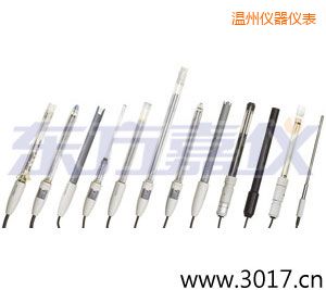溫州pH電極