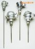 帶保護頭的工業(yè)熱電偶