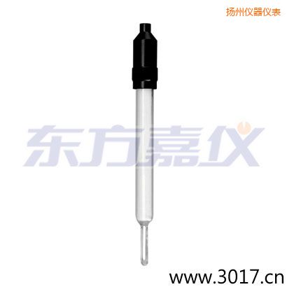 揚(yáng)州玻璃外殼無(wú)溫補(bǔ)兩線電導(dǎo)率電極