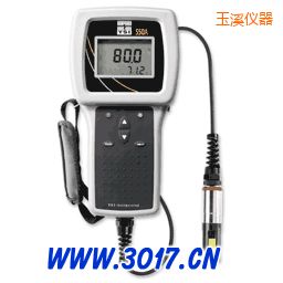 玉溪便攜式溶解氧測量儀